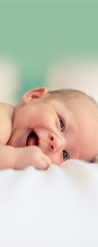 Clarico-Offer style 3